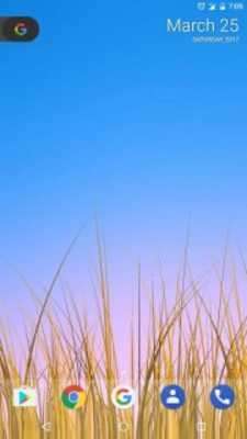Play Grass LWP [Revamped+PRO] 